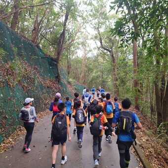 P2C Walkathon 2026